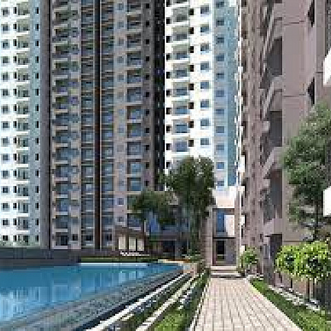 parkgrove