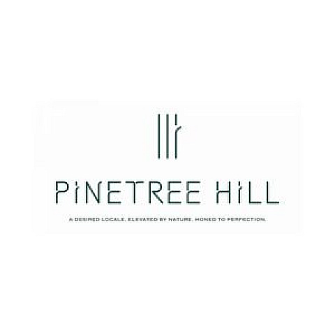 thepinetreehill