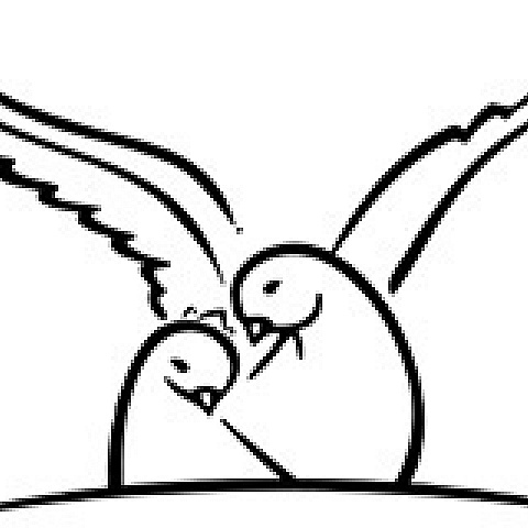 twobirdsb41l