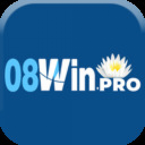 08winpro