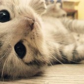 14862_1319358128 - profilový obrázok