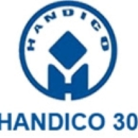 handicocomplex33