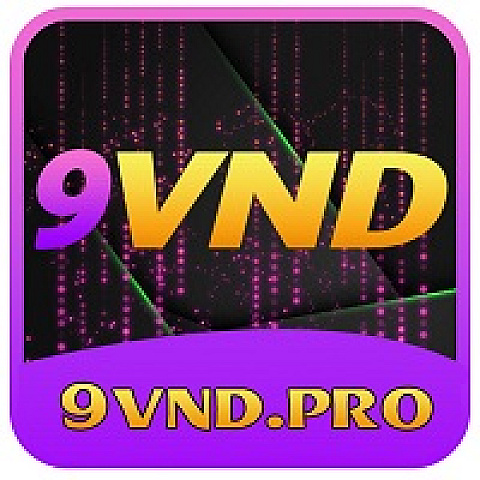 9vndpro