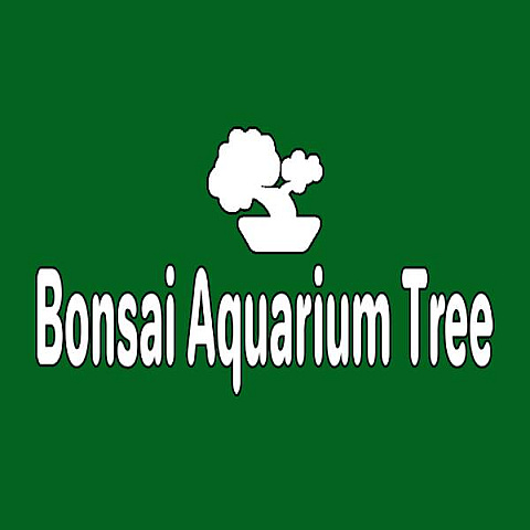 bonsaiaquariumtree