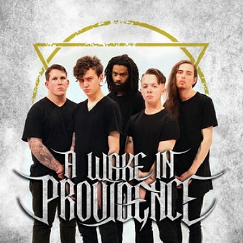 awakeinprovidencemerch