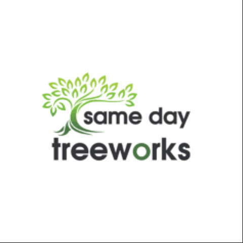 samedaytreework