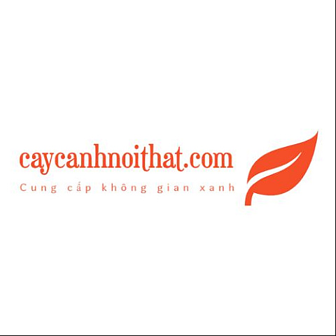caycanhnoithat