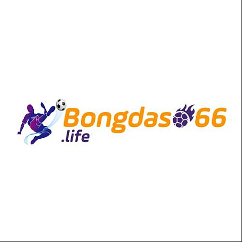 bongdaso66life fotka