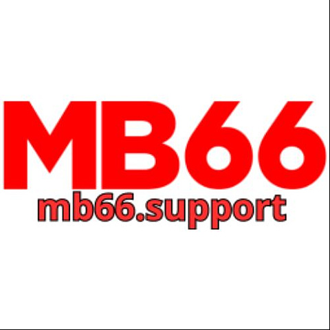 mb66support
