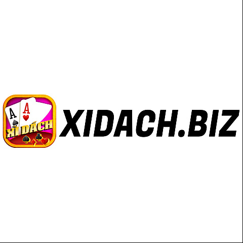 xidachbiz fotka