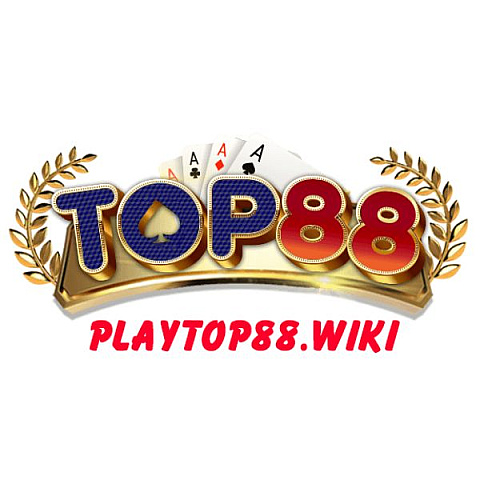 playtop88wiki fotka