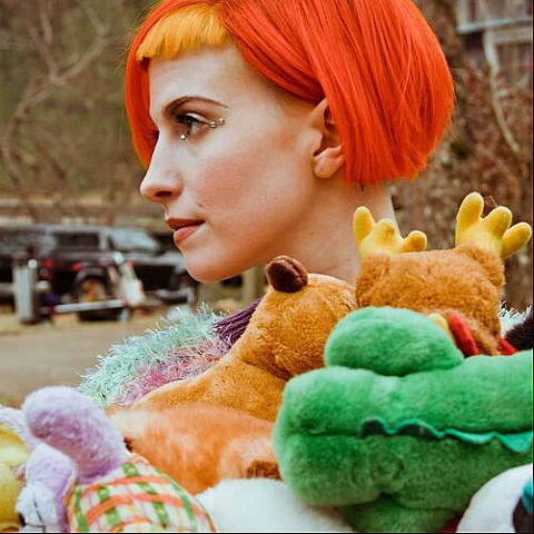 hayleywilliamsmerch