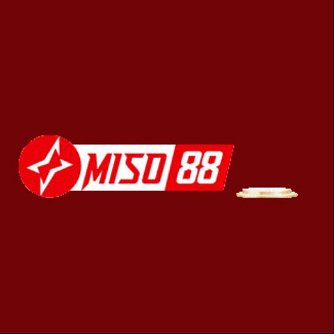 miso88bid1 fotka