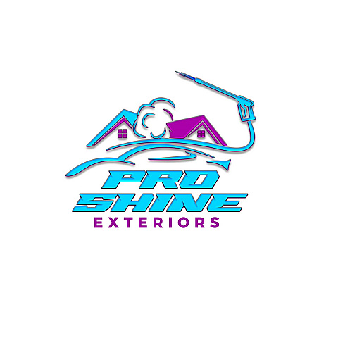 proshineexteriors