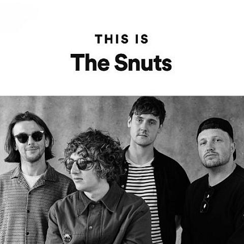 thesnutsmerch