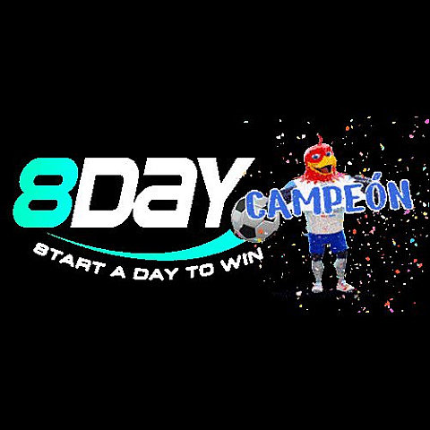 8dayacity