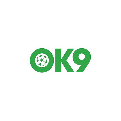 linkwebok9 fotka