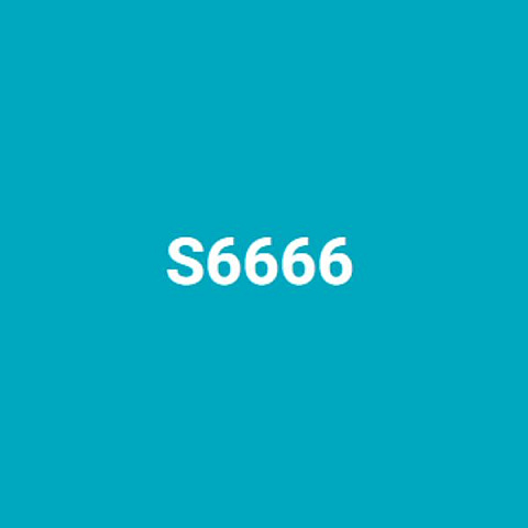 s6666mom
