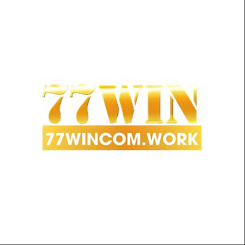 77wincomwork fotka