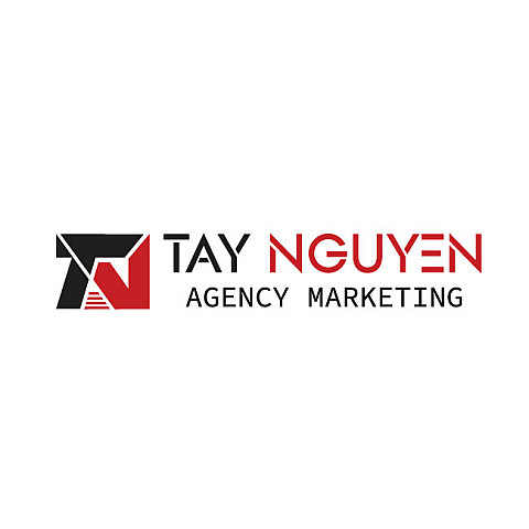 agencytaynguyenweb