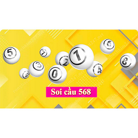 soicau568