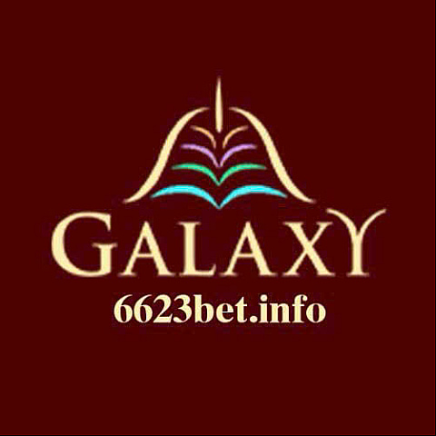 6623betinfo fotka