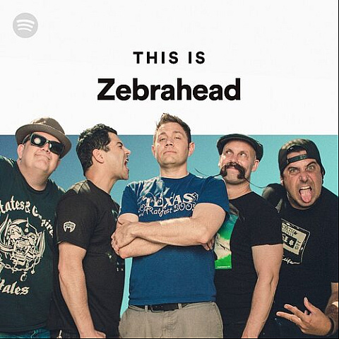 zebraheadmerch fotka