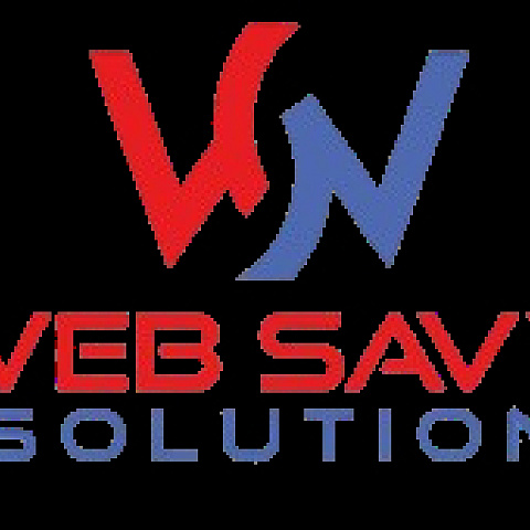 websavysolution fotka