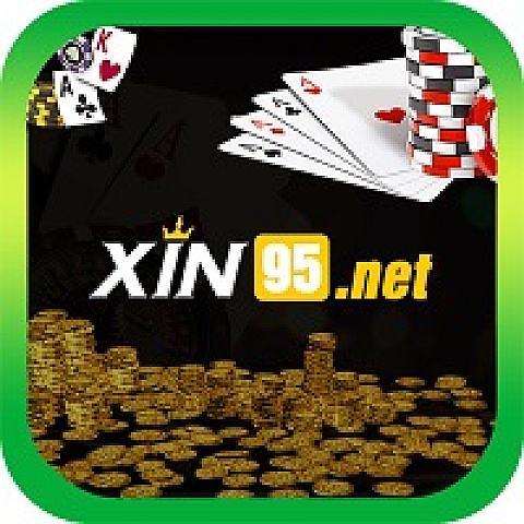 xin95net