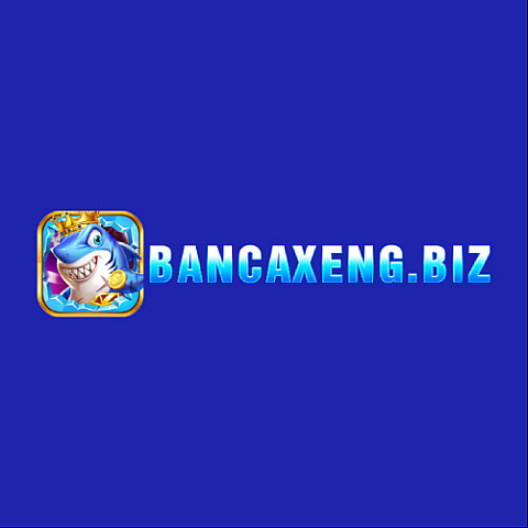 bancaxengbiz fotka