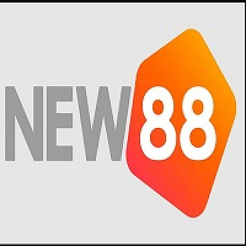 xnew88com