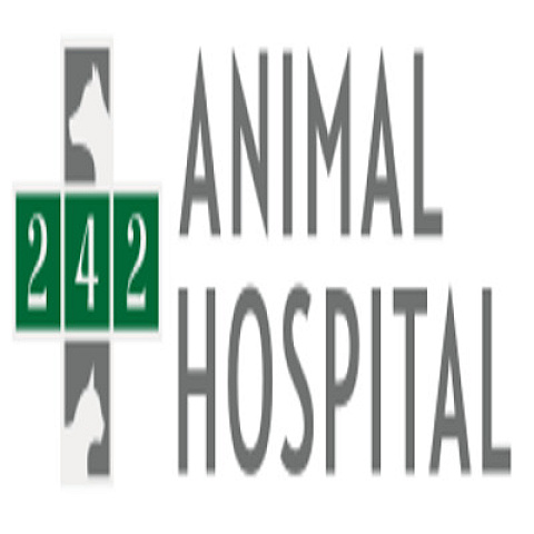 242animalhospital