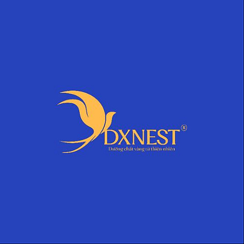 dxnest