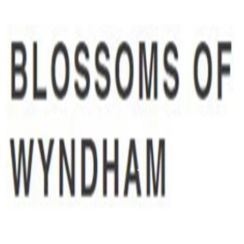 blossomofwyndham