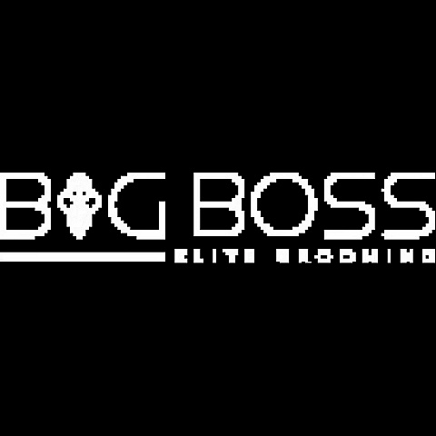 bigbosssalon