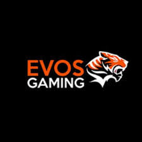 evosgaming1 fotka