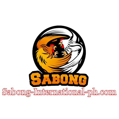 sabonginternationalph