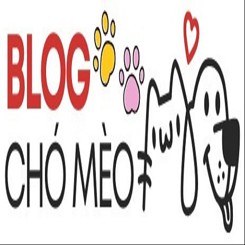 blogchomeoinfo