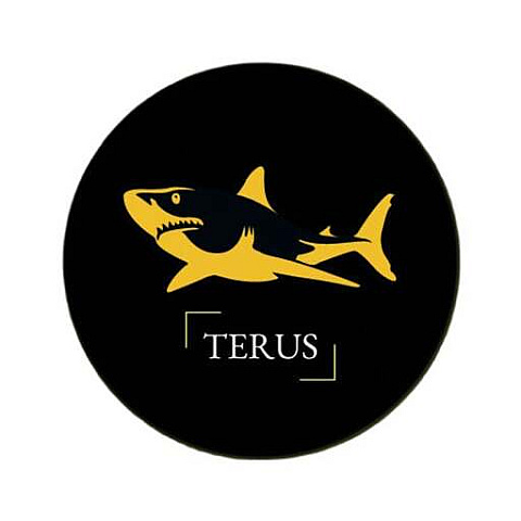 terusvn