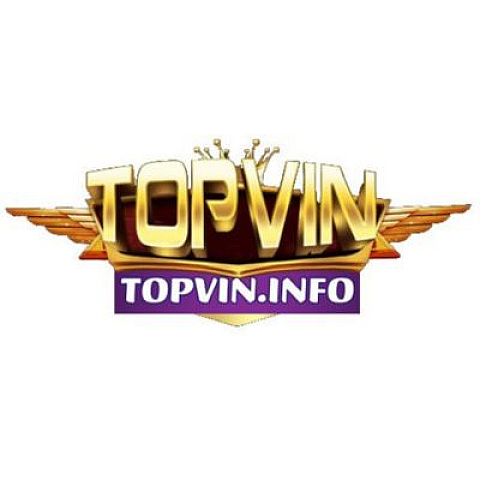 gametopvininfo