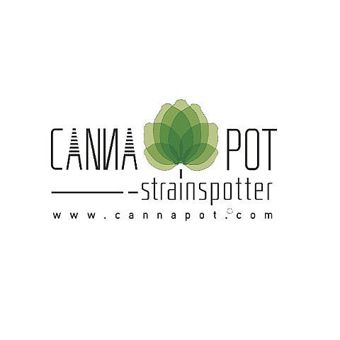 cannapot fotka