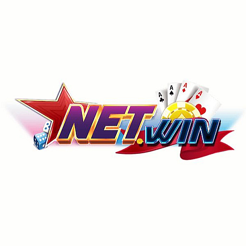 netwinskin