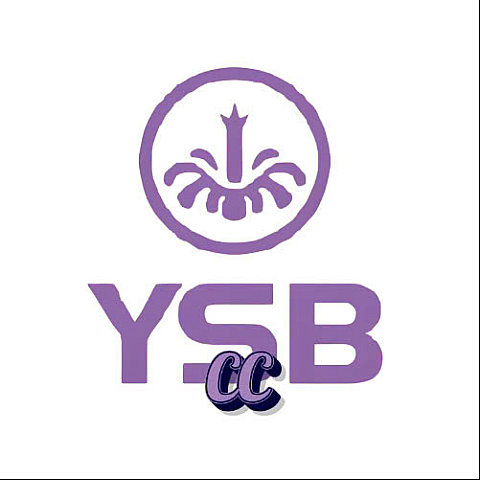 ysb66cc1