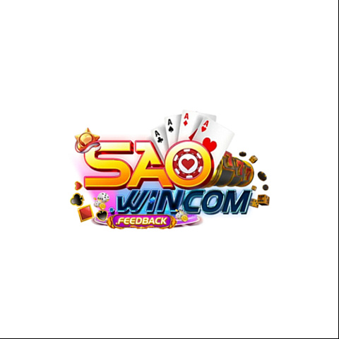 saowincomfeedback