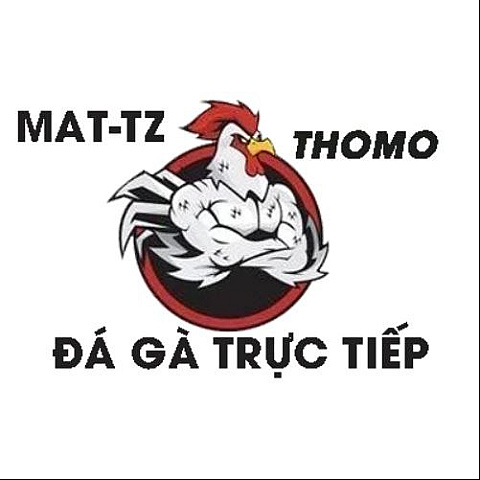 dagatructiepmat