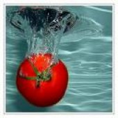 paradajocka fotka
