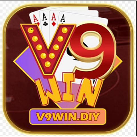 v9windiy