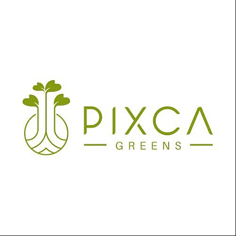 pixcagreens
