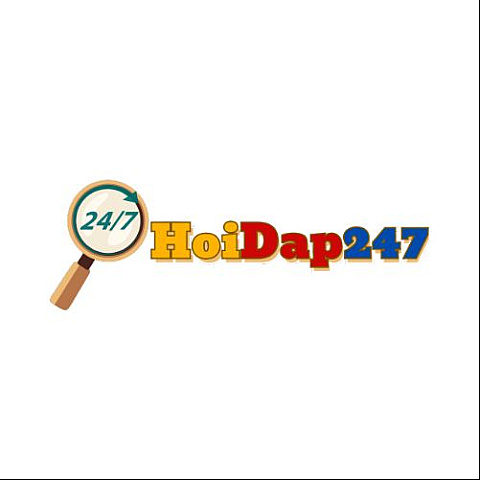 hoidap247co