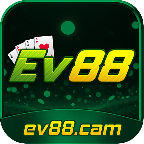 linkev88cam